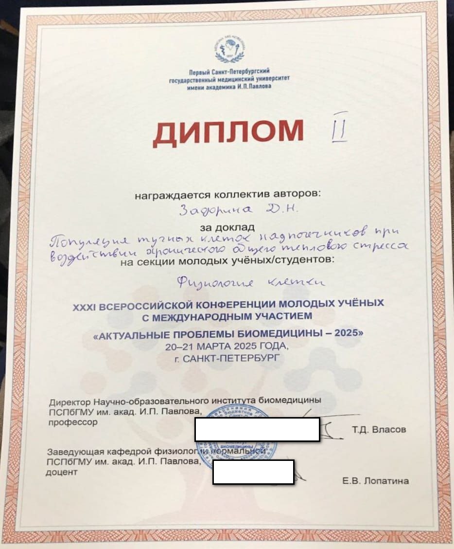 ZudovaAI